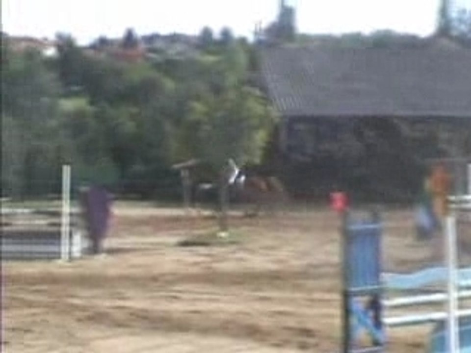 Havanne Roanne ambierle gp 115