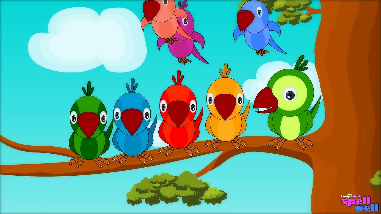 How To Spell - Parrot