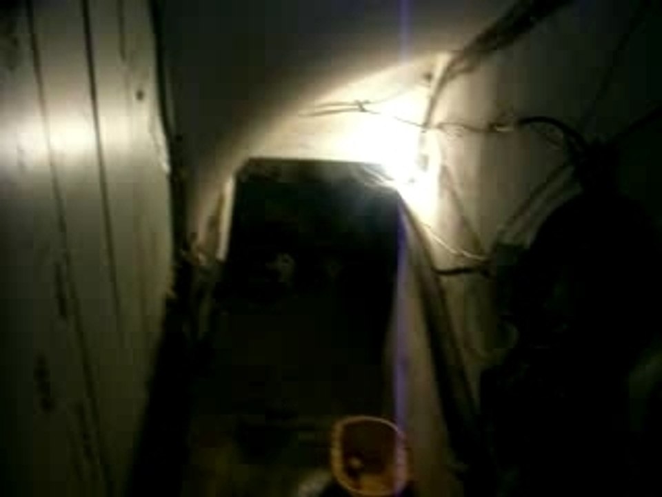 Le tueur de la cave