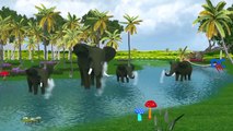 Elephant Cartoon Singing Finger Family Songs | Elephant Finger Family Children Nursery Rhymes