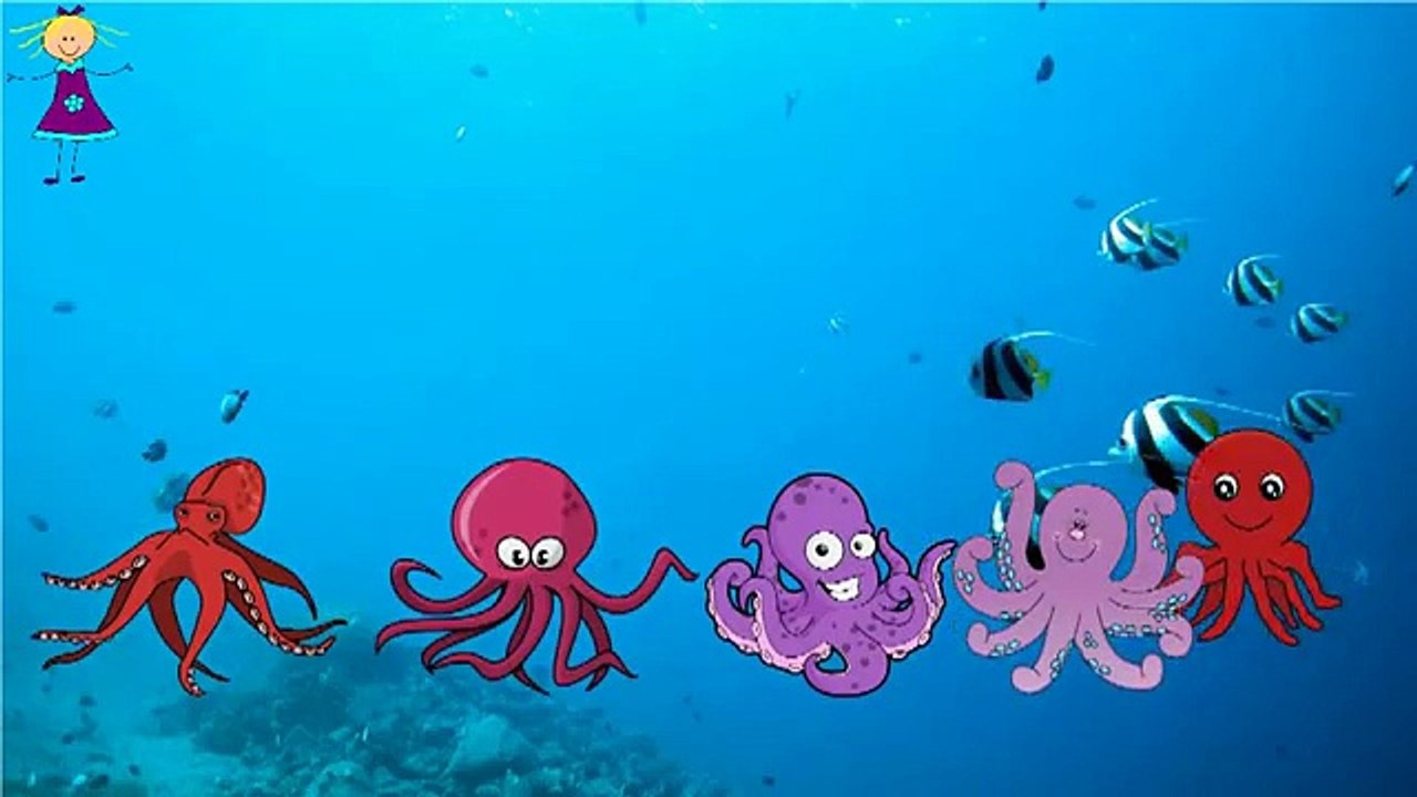 OCTOPUS Finger Family Nursery Rhyme for Children | Funny 2D OCTOPUS ...
