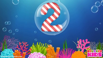 Numbers 1 to 10 Chant | 10 Little Numbers Song | Numbers Rhymes for Children