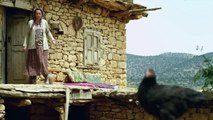 Kümes Fragman - The Coop Trailer