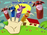 Baby Einstein Puppet Show Anthology Vol 1 Video