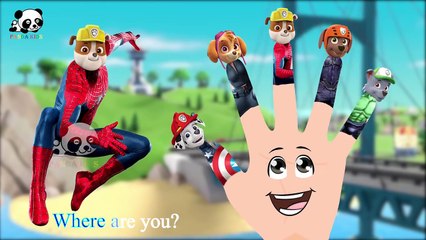 #Paw Patrol #Avengers #Hulk #Spiderman #Captain America #Finger Family Songs Panda Kids