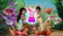 Nursery Rhymes Songs | Peppa Pig Costumes Party Finger Family Fairy MLP Frozen Nursery Rhymes Lyric