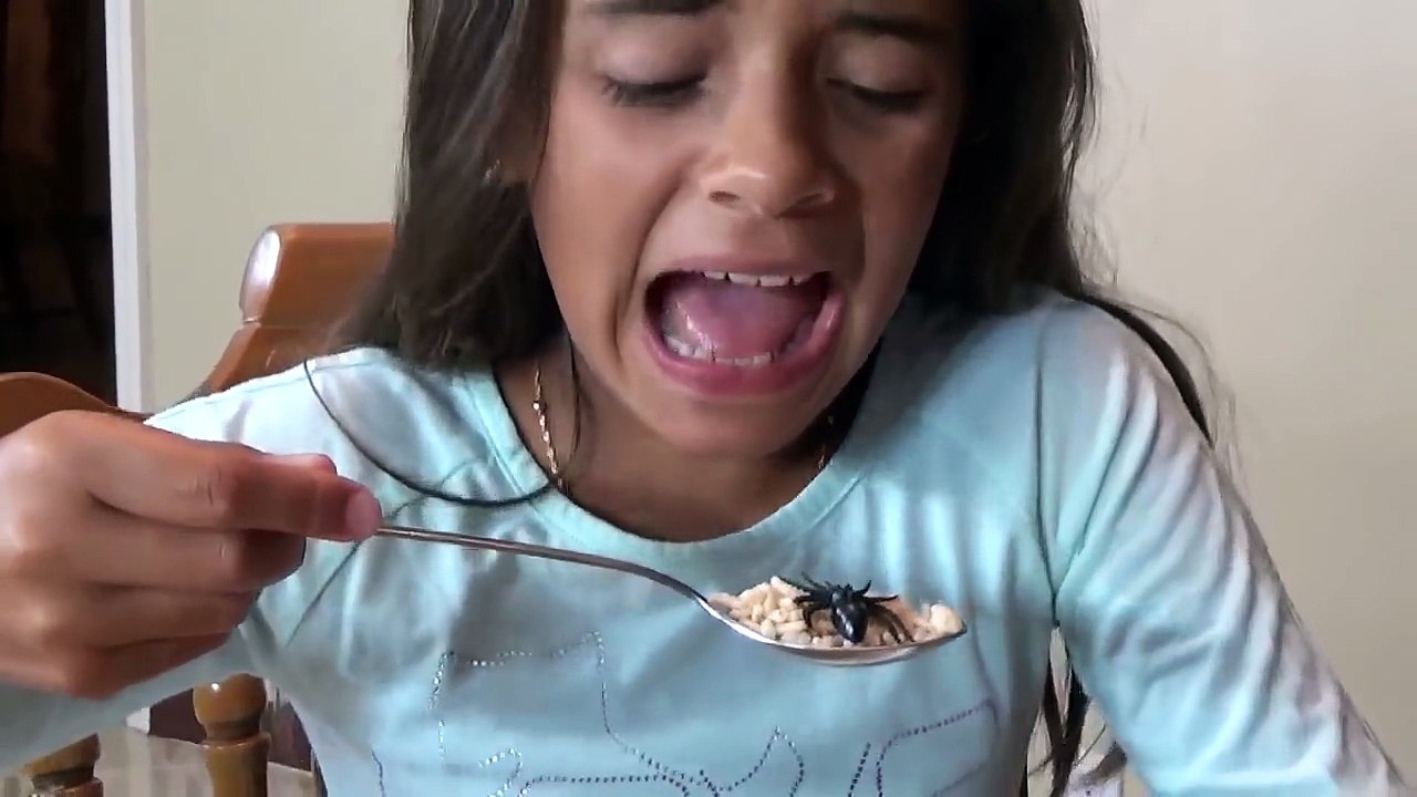 GIANT SPIDER ATTACKS GIRL Saved by Spatula TOYS TO SEE Children's Movie-To53vjh6eoA