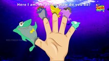 Cute shark finger family | Finger Family Shark Family Nursery Rhyme | Animal Finger Family