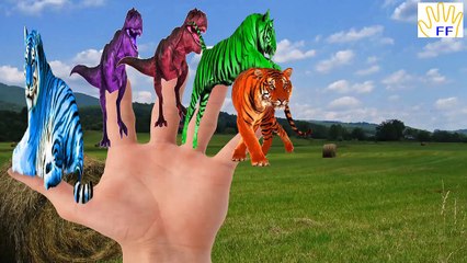 Wild Animals Colors Dinosaurs Tiger Finger Family | Colours Dinosaurs Finger Family Nursery Rhymes