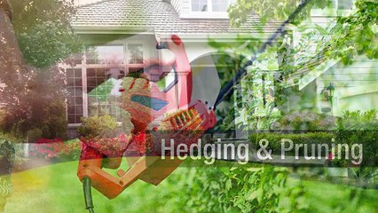 Tips for Getting that Beautiful Garden You've Been Dreaming About