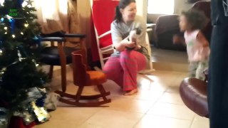 Getting a Kitten for Christmas Compilation 2016