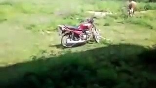 Funny Video Must Watch