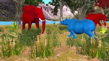 Colors Lion Dinosaur Finger Family | Colors Rhino Vs Elephant Kids Rhymes | Wild Animals Rhymes