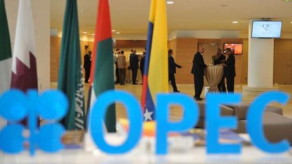 Opec meeting, Austrian election