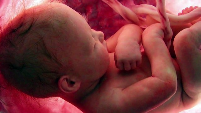 6 coisas que você não sabe para que servem �Tou Ligado�