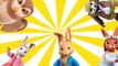 PETER RABBIT, OLD BROWN, LILY, TOMMY BROCK, | Finger Family Nursery Rhyme Song #Animation