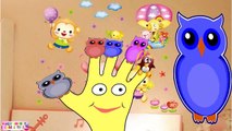 Finger Family Owl Animal | Peppa Pig Surprise eggs | Spiderman Surprise egg | My Little Pony