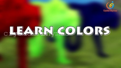 Let us learn colors lesson with wolf 3d colors lesson for nursery preschool kids