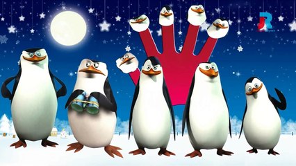 Penguin Cartoon Finger Family Rhymes For Children | Cartoon Animation Rhymes Collections