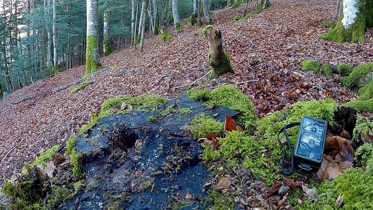 Allumer un feu 2-allumage du feu avec un Firesteel ;)