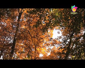 Sawariya Ghat Mahi | Baje Anhad | Prem Rawat Maharaji Bhajan