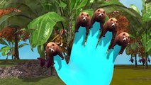 Top 10 3D Bear Animal Finger Family Rhymes | 3D Animated Bear Finger Family