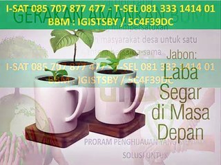 085 707 877 477 (I-SAT) - aset perkebunan jabon