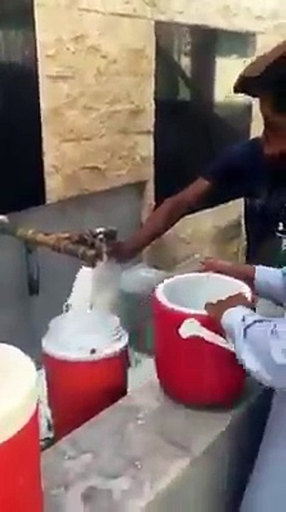 in Qatar free milk
