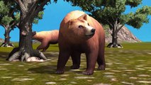 3d Animated Bear Finger Family Rhymes For Children | Top 10 Animal Finger Family Rhymes