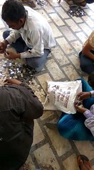 Indian Currency