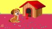 Colors for Kids to Learn - Colours For Kids to Learn - Learn Colours for Kids with Dog & Bone