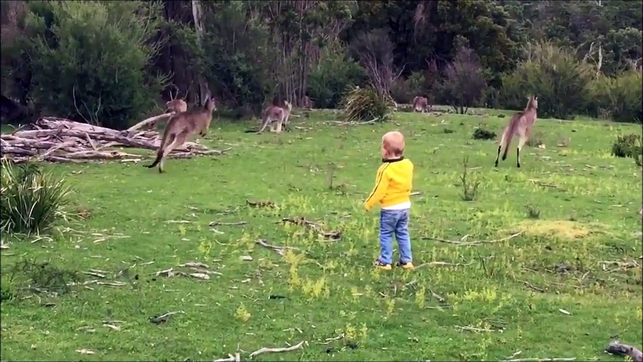 Il a voulu faire la kangourou et se prend une gamelle énorme