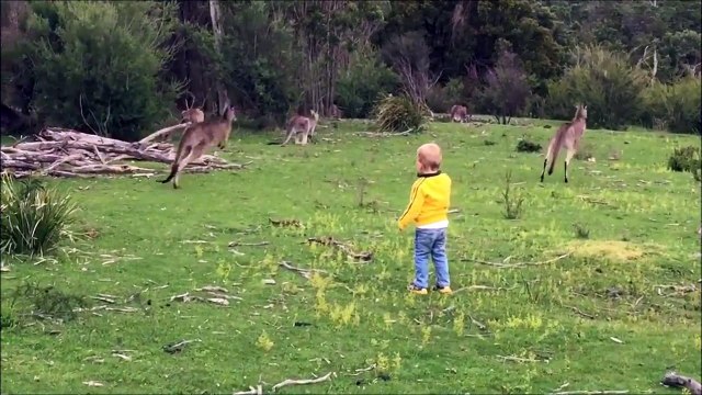 Il a voulu faire la kangourou et se prend une gamelle énorme