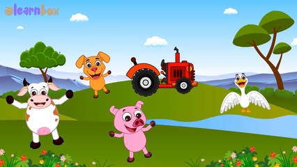 Top Children Nursery Rhymes Collection | English Nursery Rhymes Song | Kids Rhymes HD