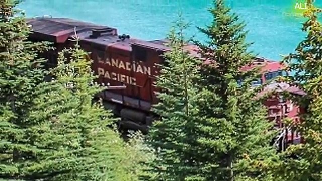 کینیڈا جانے والے یہ دلچسپ اور معلوماتی ویڈیو ضرور دیکھے