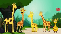 Giraffe Cartoon Children Finger Family Rhymes |Giraffe Animal Finger Family Songs
