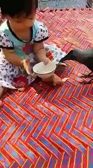 دیکھئے کیسے کوا بچی کے ہاتھ سے روٹی کا ٹکڑا کھا رہا ہے