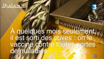 Des pratiques d'élevage du saumon bio surprenantes