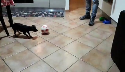 Il Piccolo Teo gioca a Calcio con il suo Papà