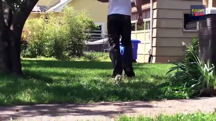 Wild Animals Showing Love to Human Being