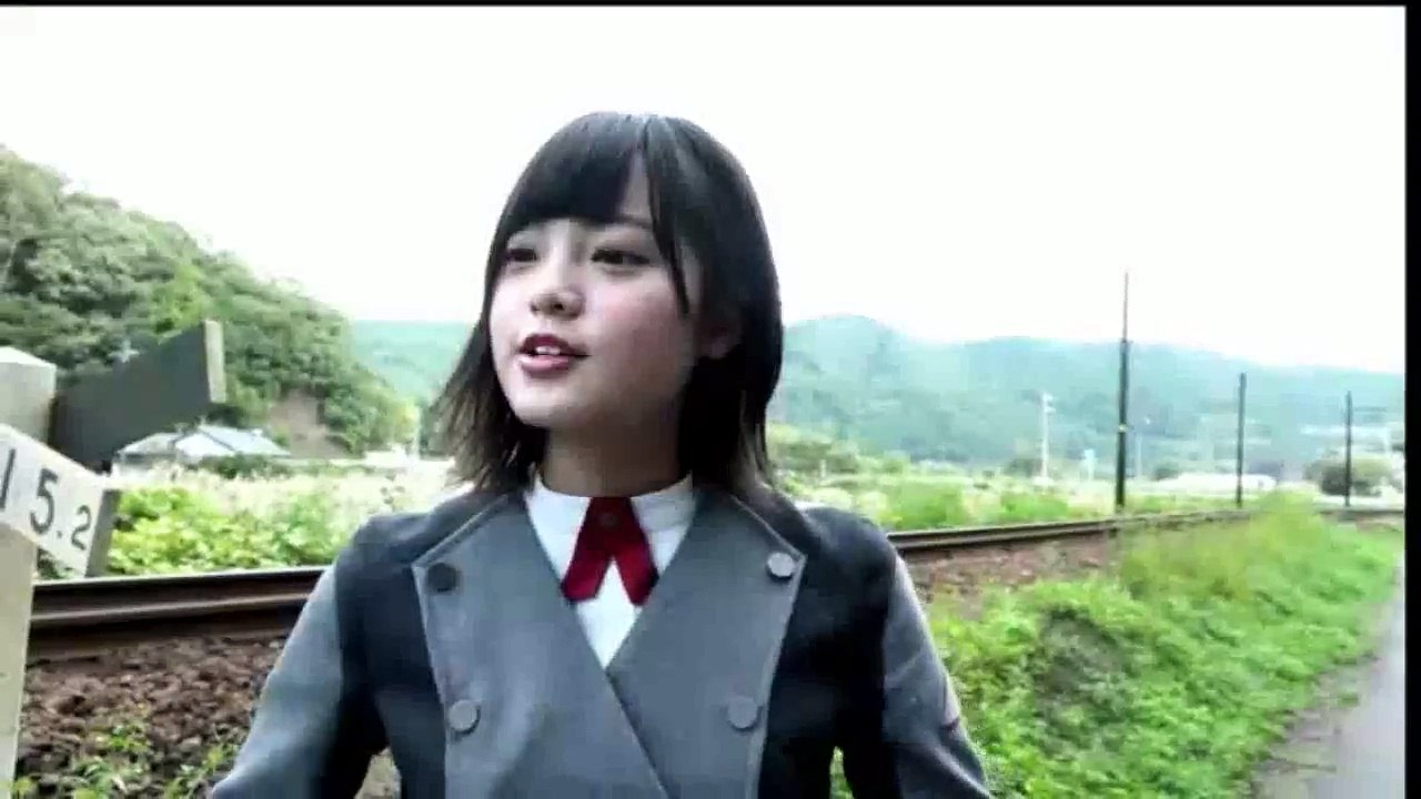 videofarm-11.daum