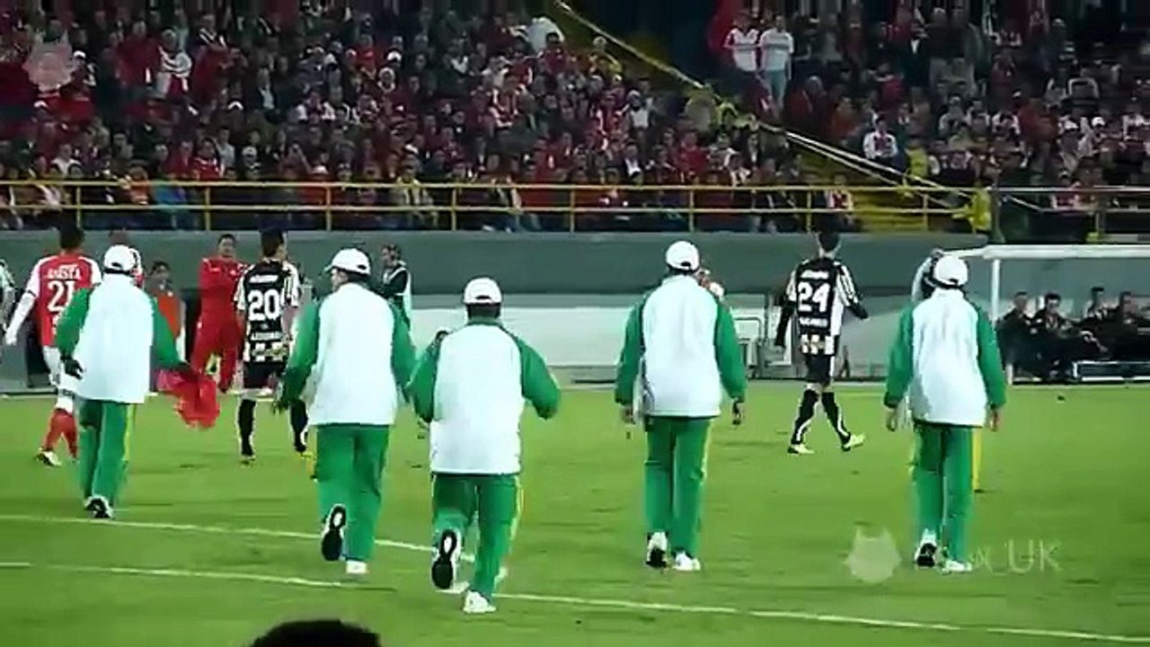 Funny Football Moments, Football Comedy ► Player and Animals on the Pitch