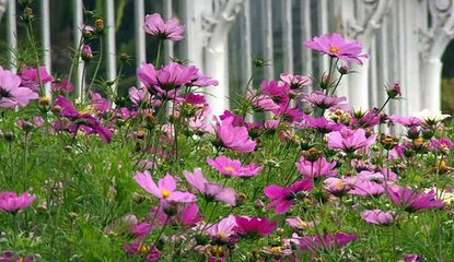 Great British Railway Journeys - S03E24 - Goes To Ireland - Belfast To Whitehead