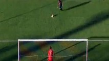Diego Farias Goal Cagliarit1 - 0tUdinese 2016