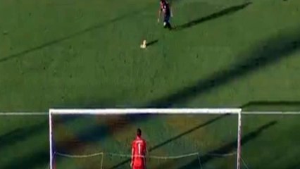 Diego Farias Goal Cagliari	1 - 0	Udinese 2016