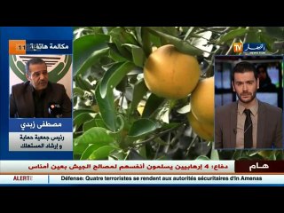 حماية المستهلك  قضية البرتقال المغربي تحتم علينا تفعيل جهاز إنذار مبكر