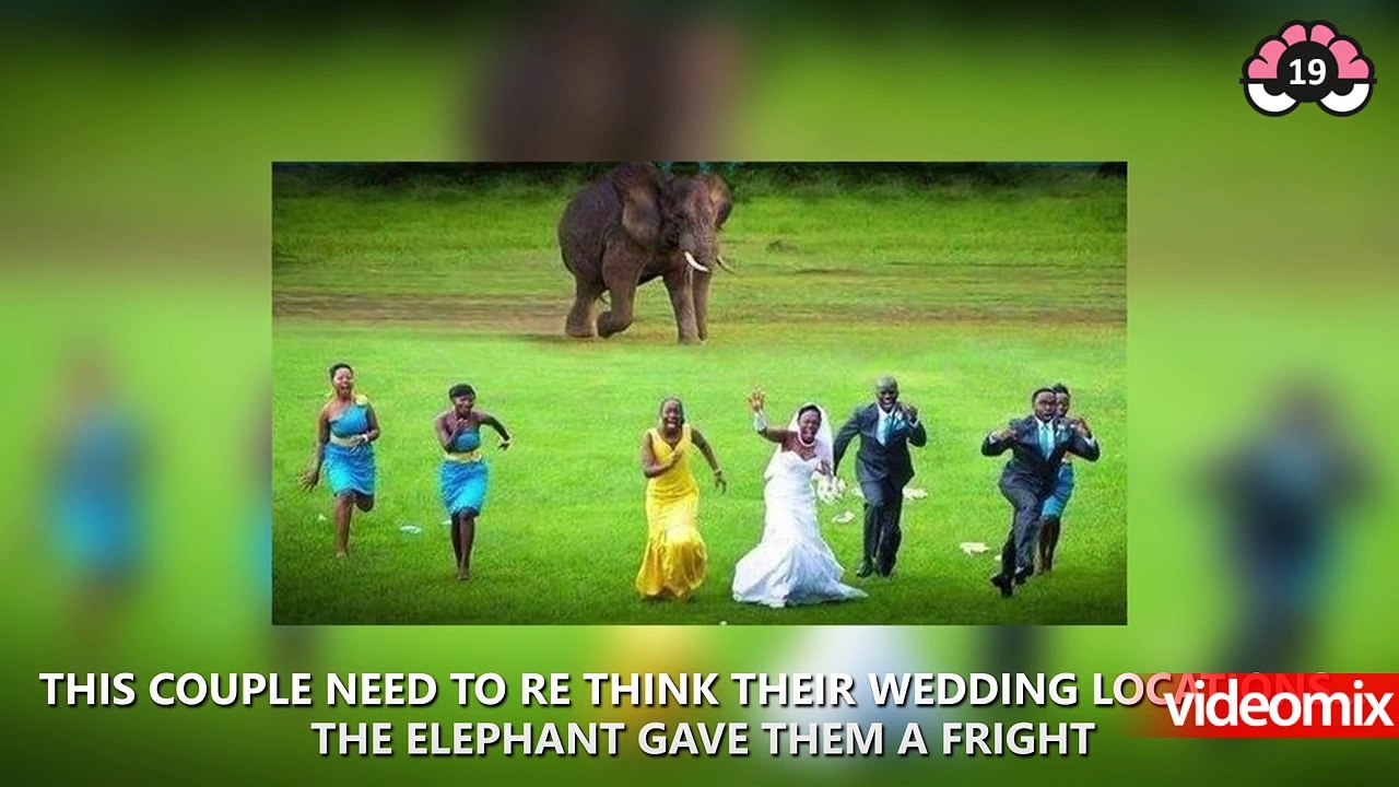 Aceste persoane au avut cu siguranță cea mai PROASTĂ zi din viața lor. VEZI despre ce e vorba!