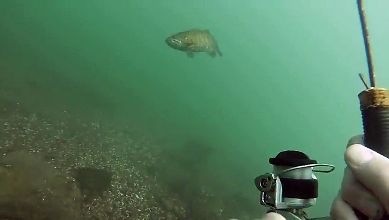 Su Altında Oltayla Nasıl Balık Tutulur?