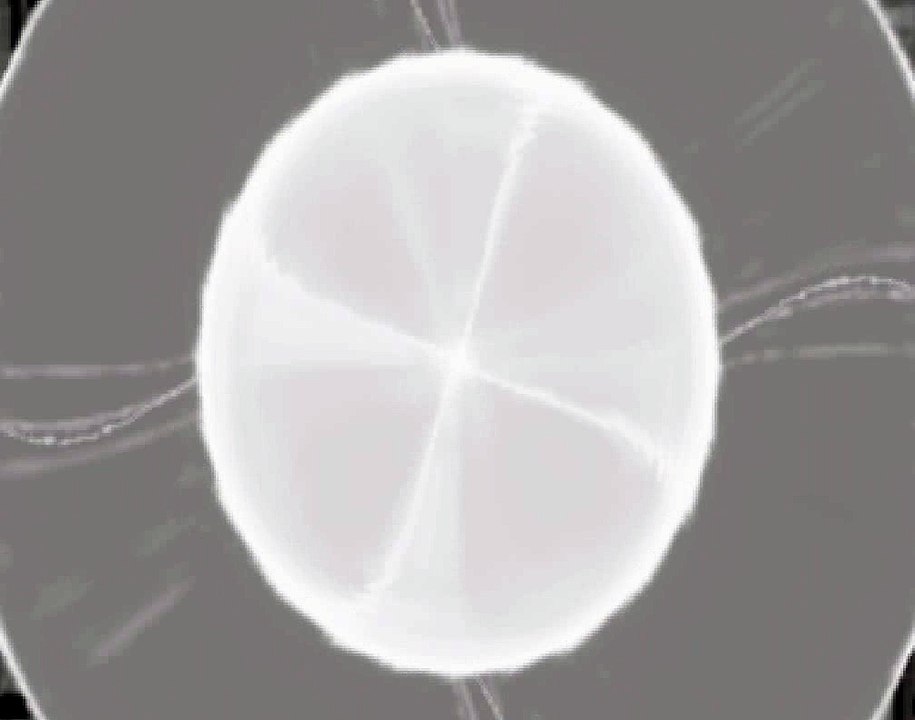 Random Wave & Sounds #5