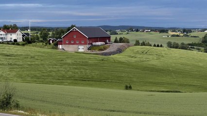 İzlerken İnsana Dinginlik Hissi Veren Çimlerin Rüzgarda Dansı